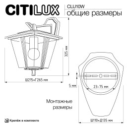 Светильник настенный Citilux CLU10W