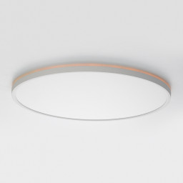 Накладной светильник Citilux CL749500