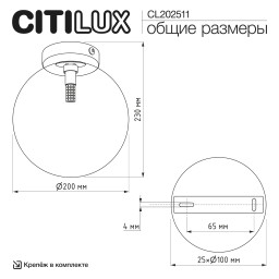 Накладной светильник Citilux CL202511