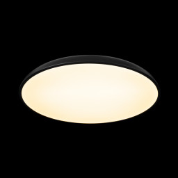 Накладной светильник LOFT IT 10371 Black