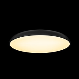 Накладной светильник LOFT IT 10371 Black