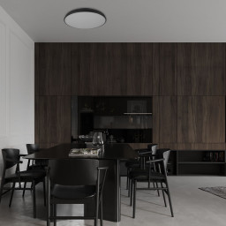 Накладной светильник LOFT IT 10371 Black