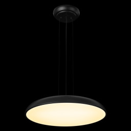 Подвесной светильник LOFT IT 10371P Black