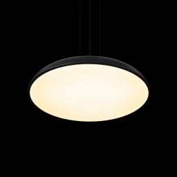Подвесной светильник LOFT IT 10371P Black