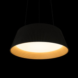 Подвесной светильник LOFT IT 10224P Black