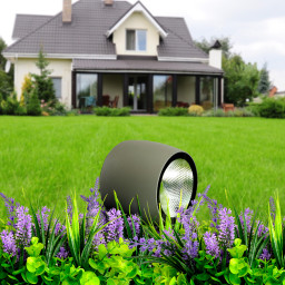 Product Gallery Image