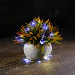Product Gallery Image