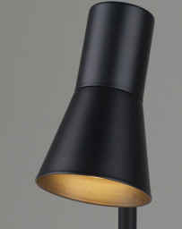 Настольная лампа Moderli V11323-1T