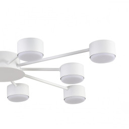 Накладная люстра LUMION 8343/10C