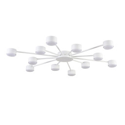 Накладная люстра LUMION 8343/12C