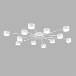 Накладная люстра LUMION 8343/12C