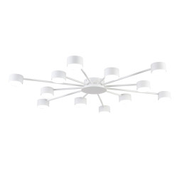 Накладная люстра LUMION 8343/12C