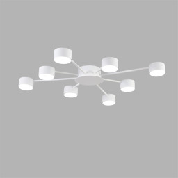 Накладная люстра LUMION 8343/8C