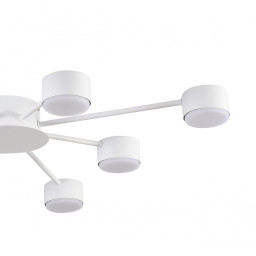 Накладная люстра LUMION 8343/8C