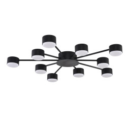 Накладная люстра LUMION 8344/10C