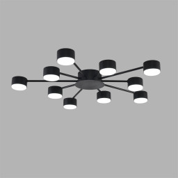 Накладная люстра LUMION 8344/10C