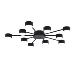 Накладная люстра LUMION 8344/10C