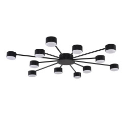 Накладная люстра LUMION 8344/12C