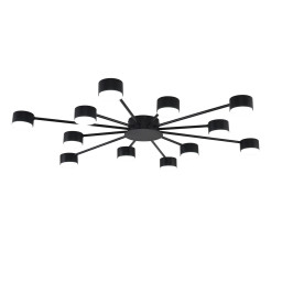 Накладная люстра LUMION 8344/12C