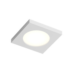 Влагозащищенный светильник Denkirs DK3014-WH