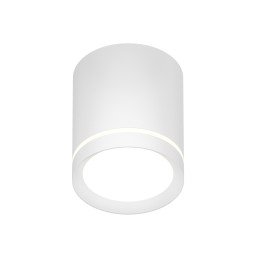 Накладной светильник Denkirs DK4013-WH