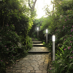 Product Gallery Image