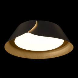 Накладной светильник LOFT IT 10370 Black