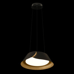 Подвесной светильник LOFT IT 10370P Black