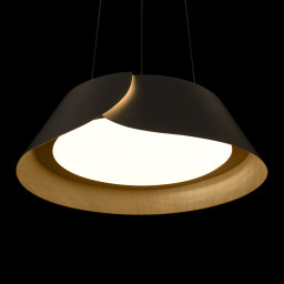 Подвесной светильник LOFT IT 10370P Black