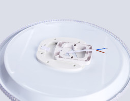 Накладной светильник Ambrella Light FZ1701