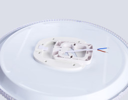 Накладной светильник Ambrella Light FZ1710