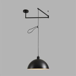 Подвесной светильник LUMION 8321/1C