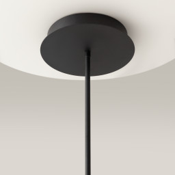 Люстра на штанге Maytoni MOD016PL-L52BK