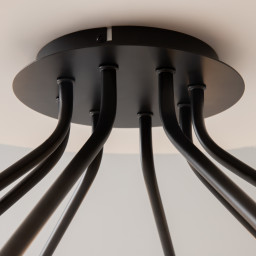 Накладная люстра Maytoni MOD620CL-16B