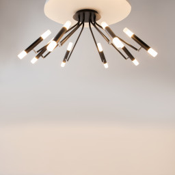 Накладная люстра Maytoni MOD620CL-16B