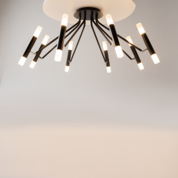 Накладная люстра Maytoni MOD620CL-16B