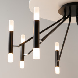 Накладная люстра Maytoni MOD620CL-16B