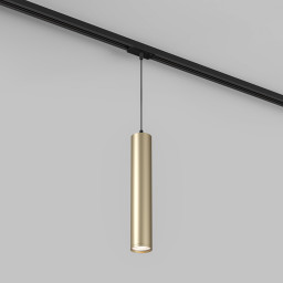 Светильник на шине Denkirs DK6210-BG