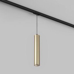 Светильник на шине Denkirs DK6210-BG