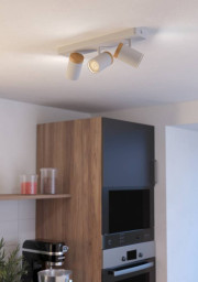 Спот EGLO 300004