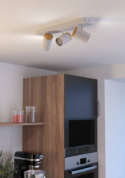 Спот EGLO 300004