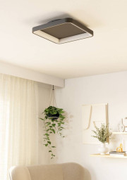 Накладной светильник EGLO 901252