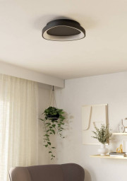 Накладной светильник EGLO 901584