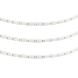 Лента Arlight 055554