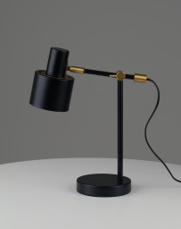 Настольная лампа Moderli V11263-1T