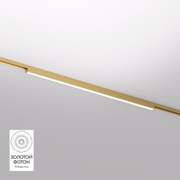 Светильник на шине Denkirs DK5752-SB