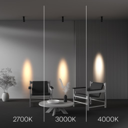 Спот Maytoni C055CL-L12W2.7K-SS-B