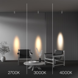 Спот Maytoni C055CL-L12W3K-SS-W