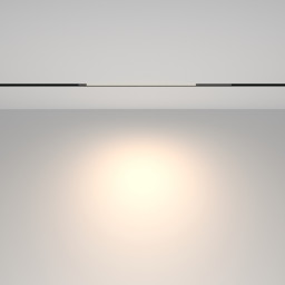 Светильник на шине Maytoni TR231-2-10W4K-B