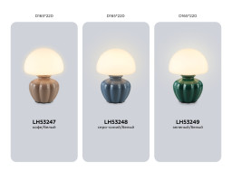 Настольная лампа Ambrella Light LH53248